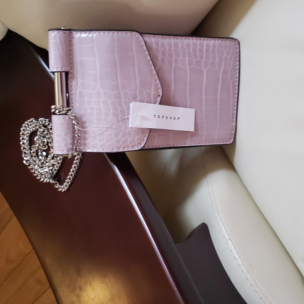 Small crossbody purse/phone carrier.  Chrome accents